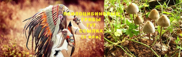 спиды Абаза