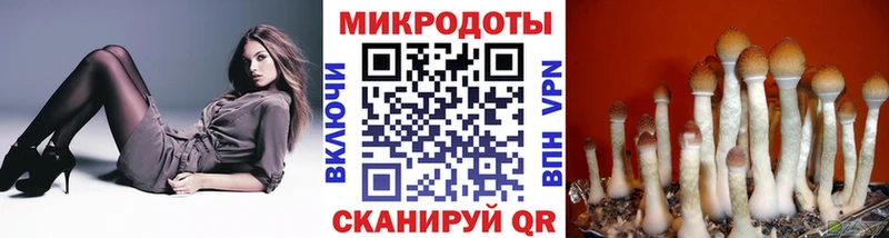 где купить наркотик  Шахты  Галлюциногенные грибы MAGIC MUSHROOMS 