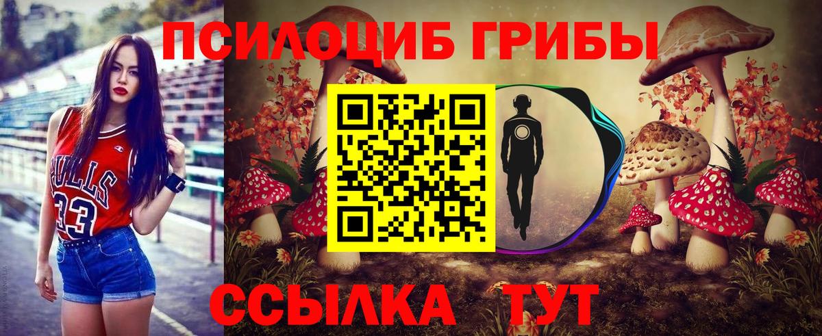 Шахты  Псилоцибиновые грибы Psilocybe  Вход с VPN 